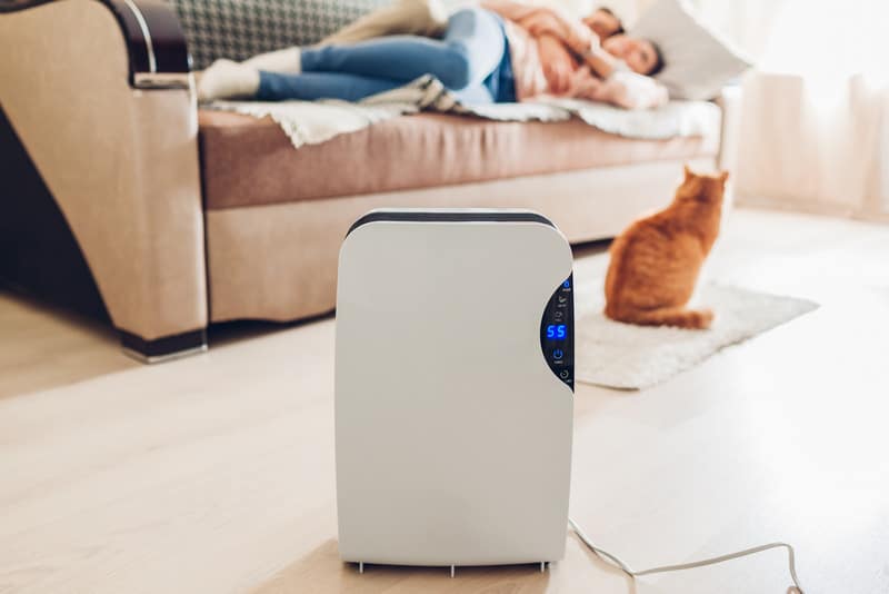 how to test Air purifier is working